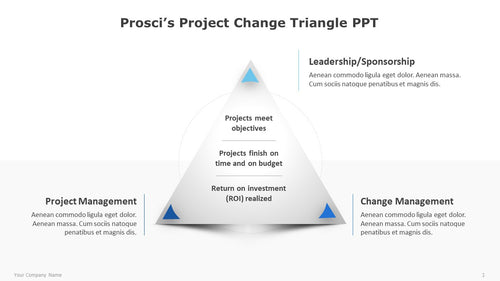 Prosci's-Project-Change-Diagram-for-PPT-01