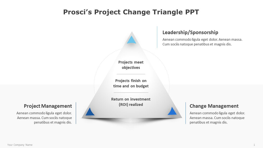 Prosci's-Project-Change-Diagram-for-PPT-01